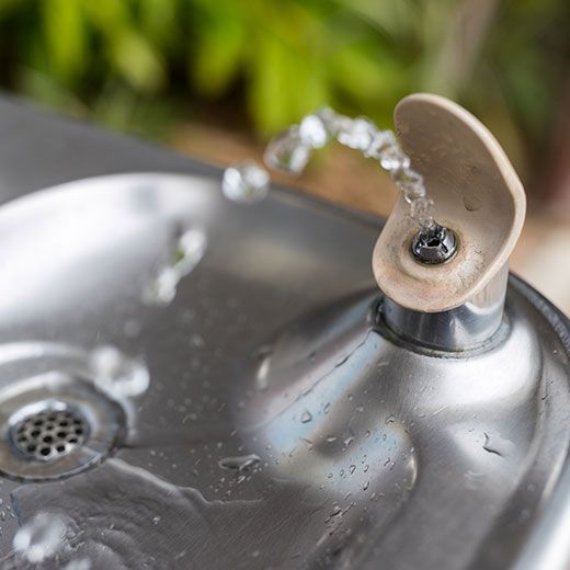 Commercial Plumbing Services In Brighton: Save With Colin The Plumber! 